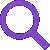 Search Icon